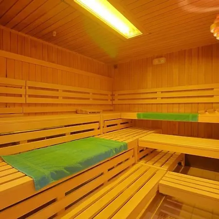 Harzfeuer Mit Wunderbarem Ausblick Und Schwimmbad Lejlighed